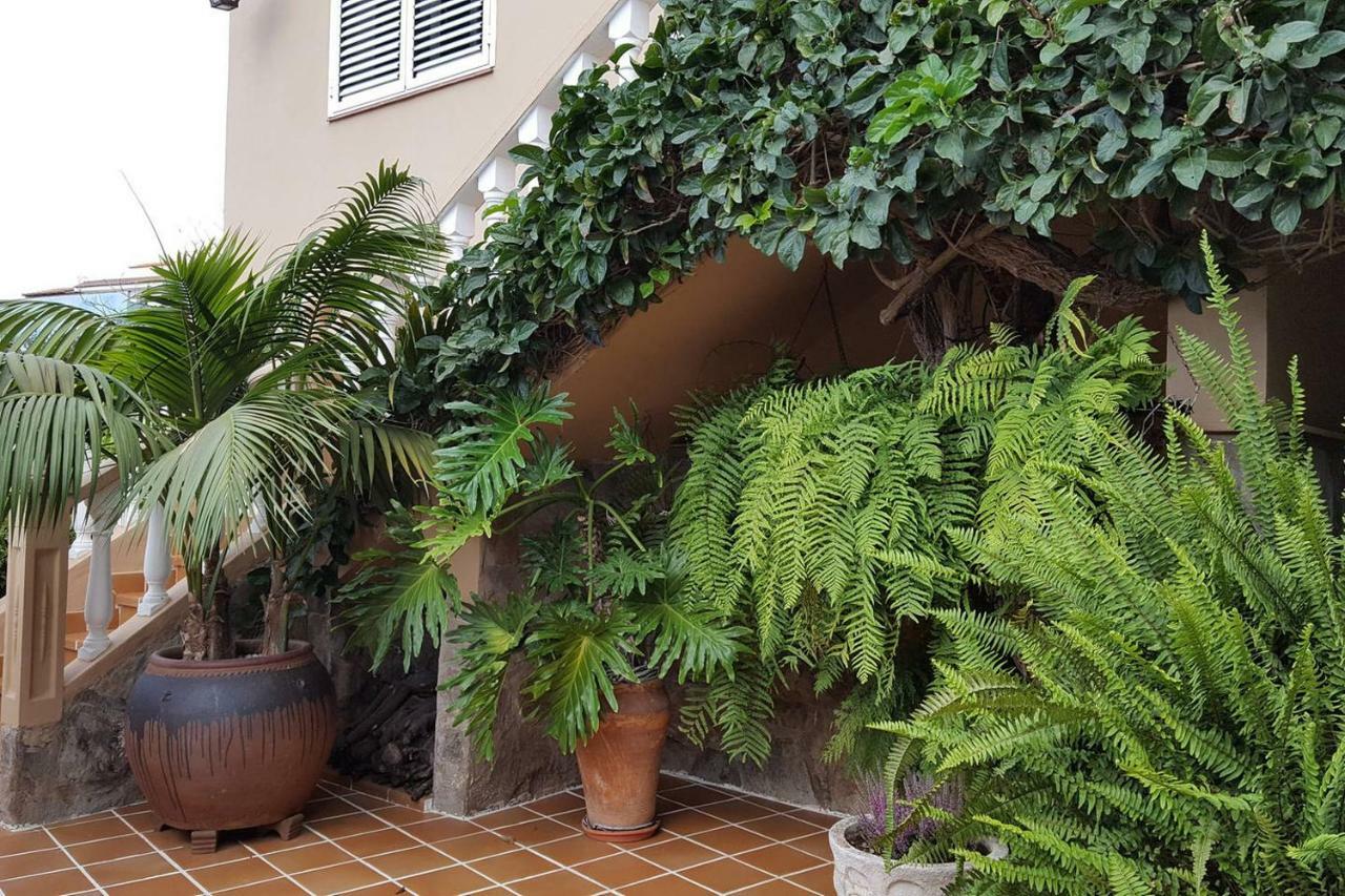 Orotava Garden House Perfect For Families Villa La Orotava Exterior foto