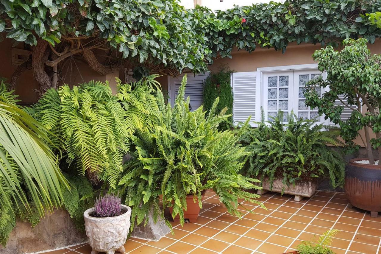 Orotava Garden House Perfect For Families Villa La Orotava Exterior foto